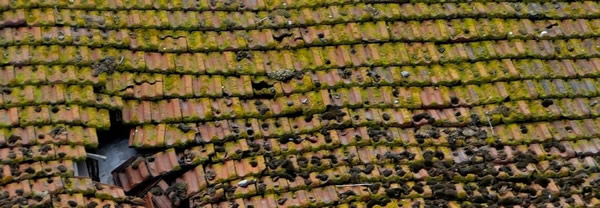 Dak Pan dakrenovatie